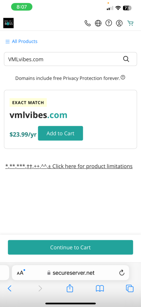 How To Purchase Domain For Your Website - BLABossInc for @VMLVibes by Blogging Brandi 