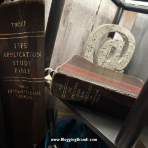 NIV Life Application Study Bible - Leather Soft Cover